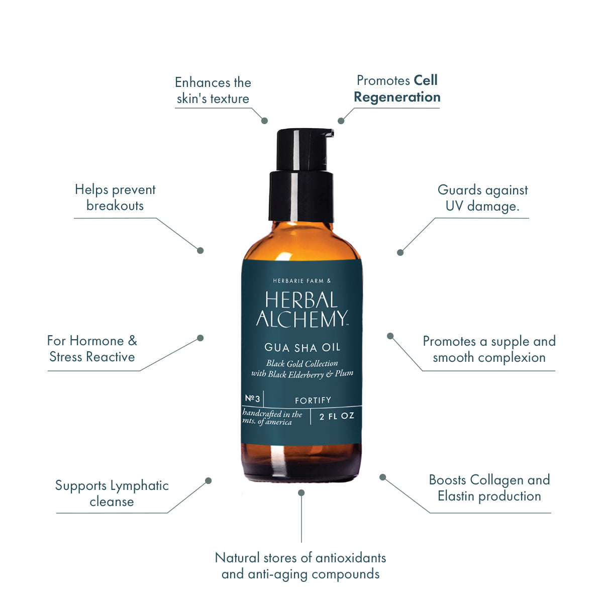 Cold Pressed Gua Sha Oil - Black Gold