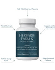 Superfood Nootropic