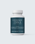 Superfood Nootropic