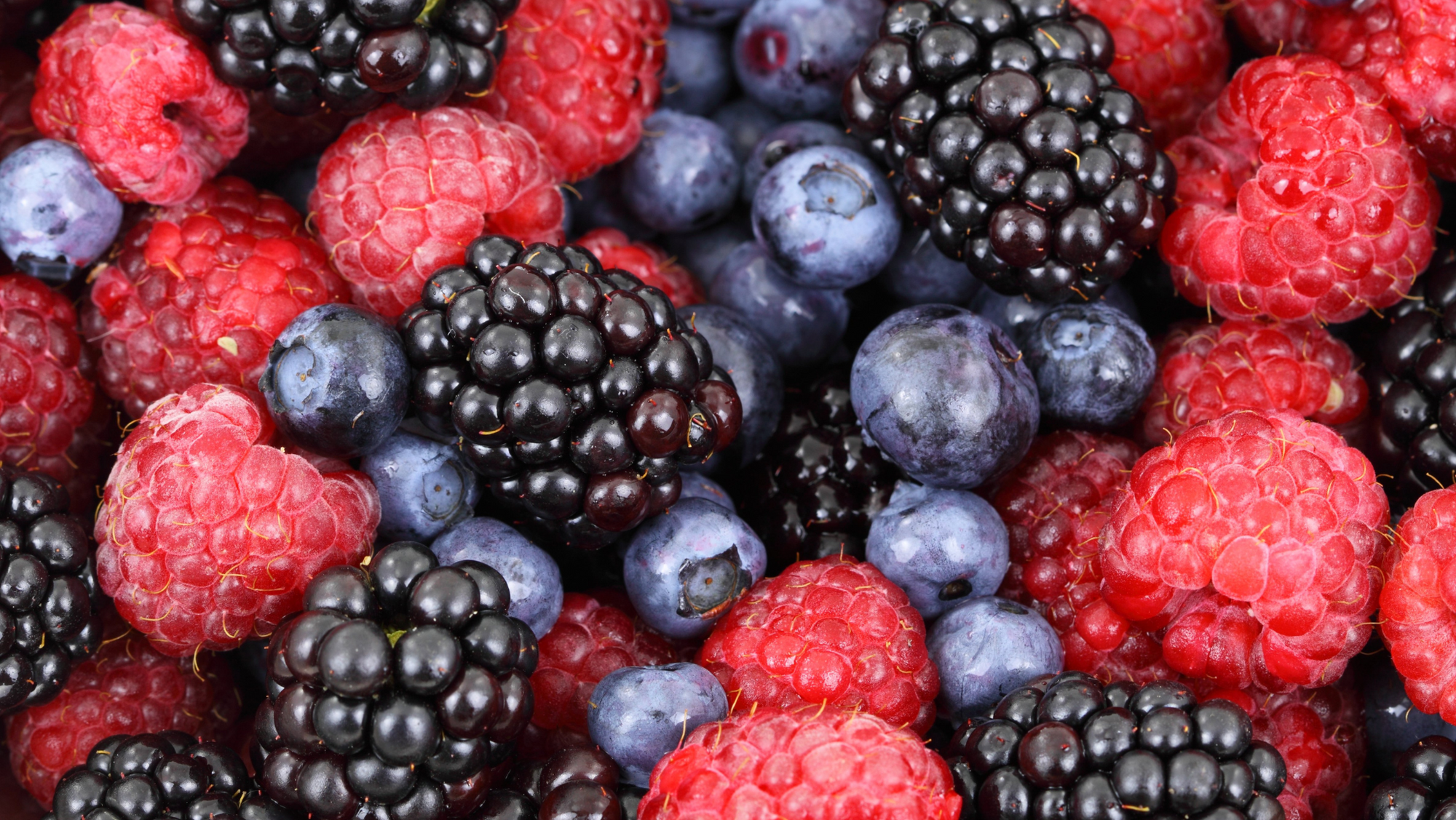 55 Days of a Raw, Mucusless Diet...