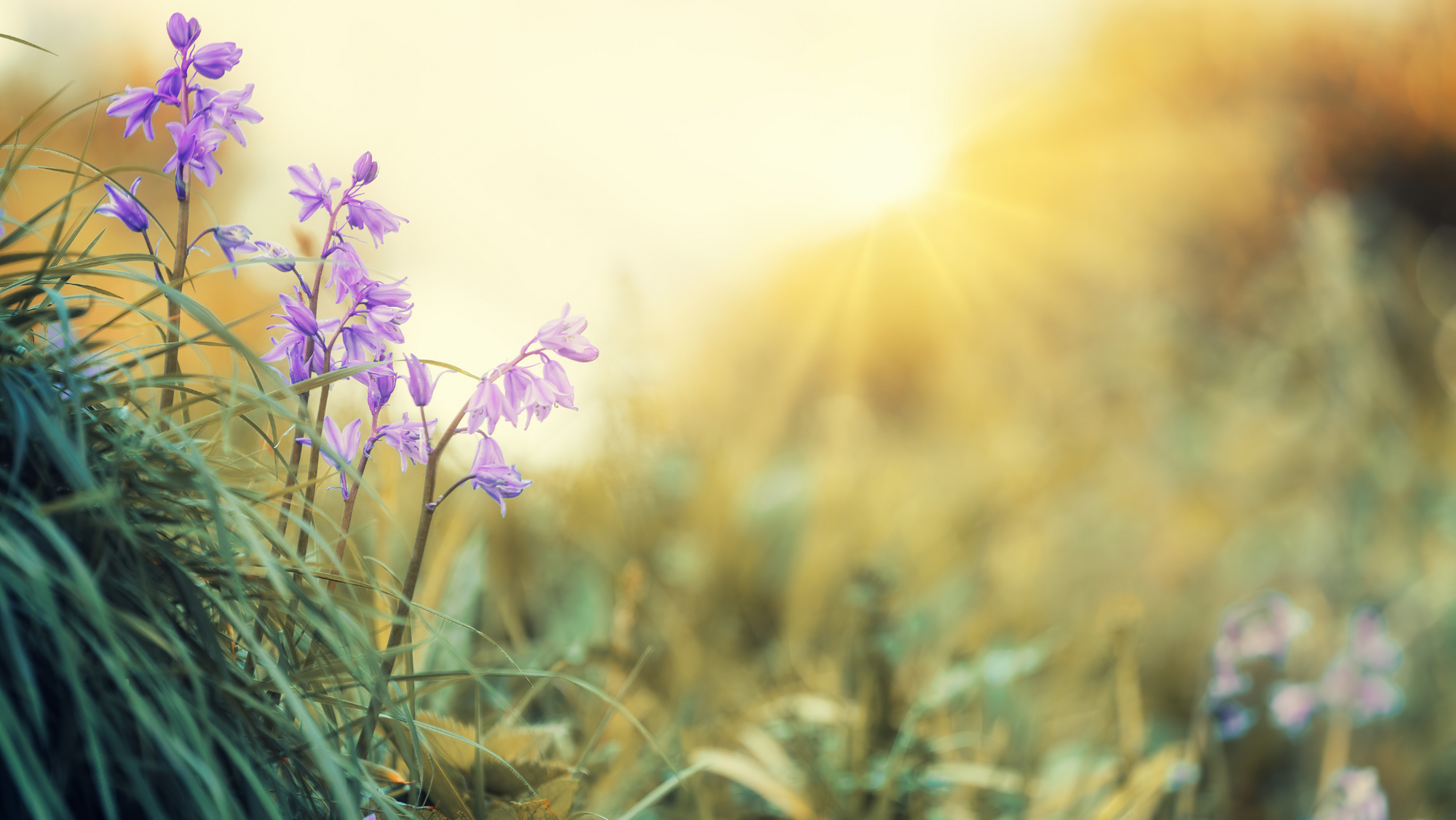 4 Facts Friday: Is The Sun Really a Problem?