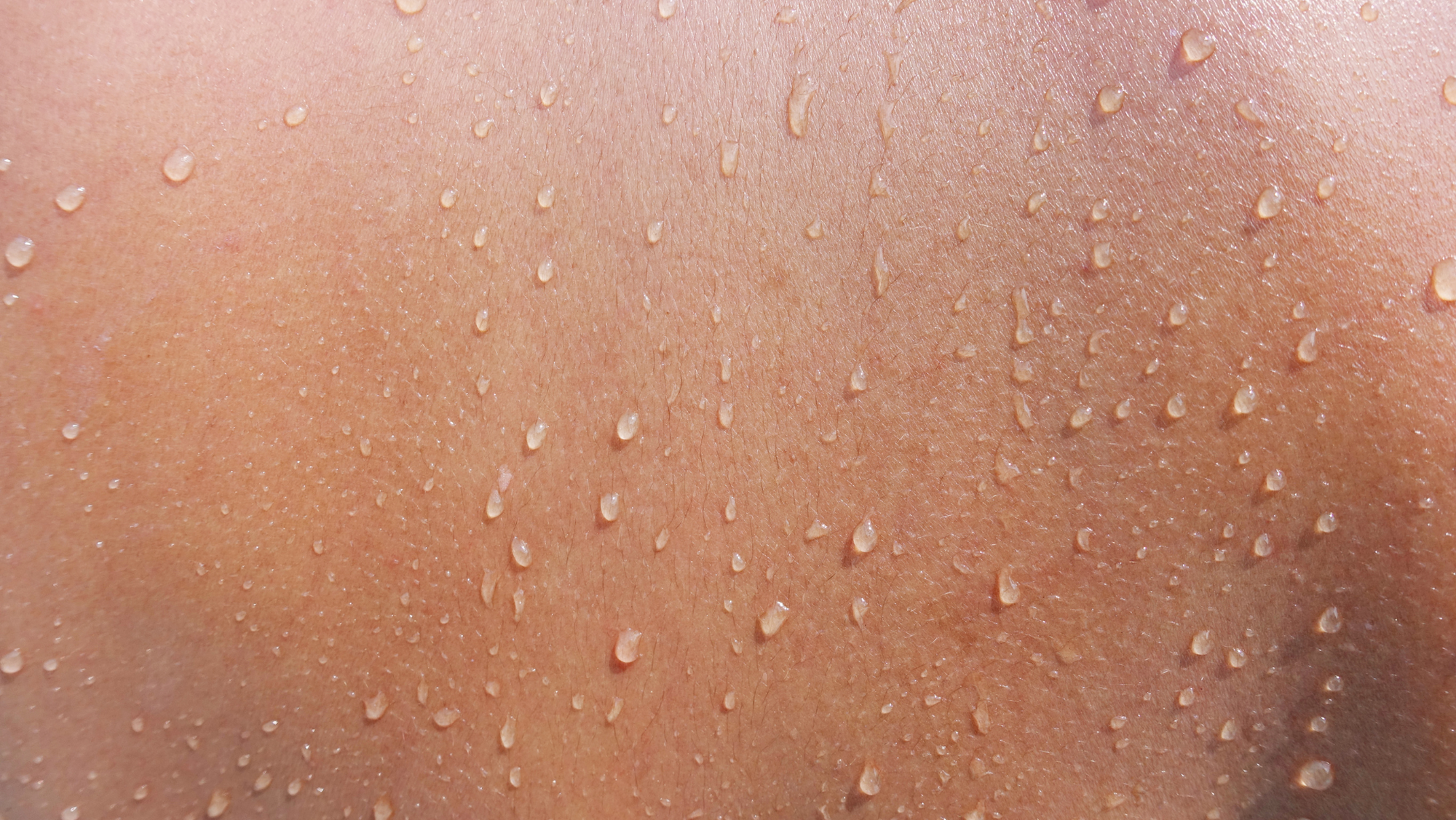 The Skin + Nervous System Connection