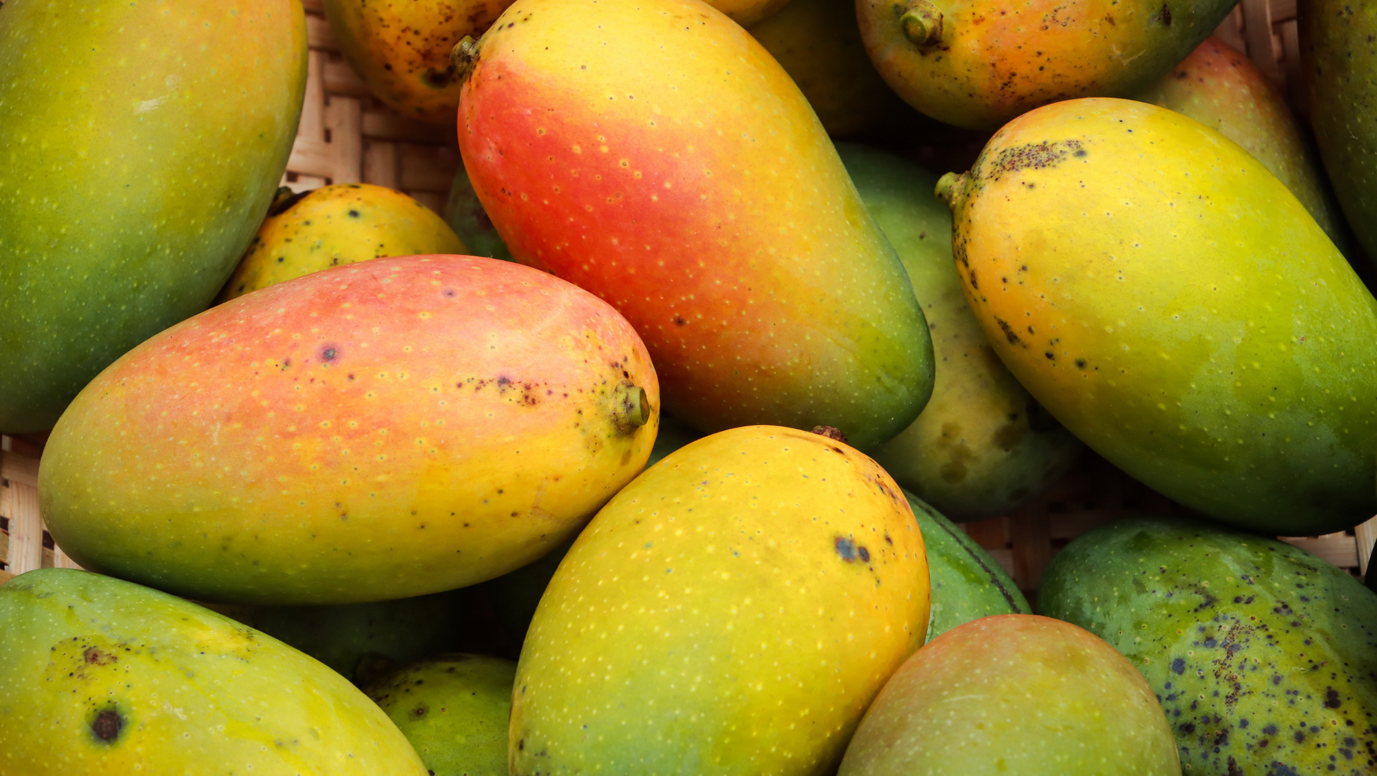 Why Mango Butter? The Skin + Nervous System Connection
