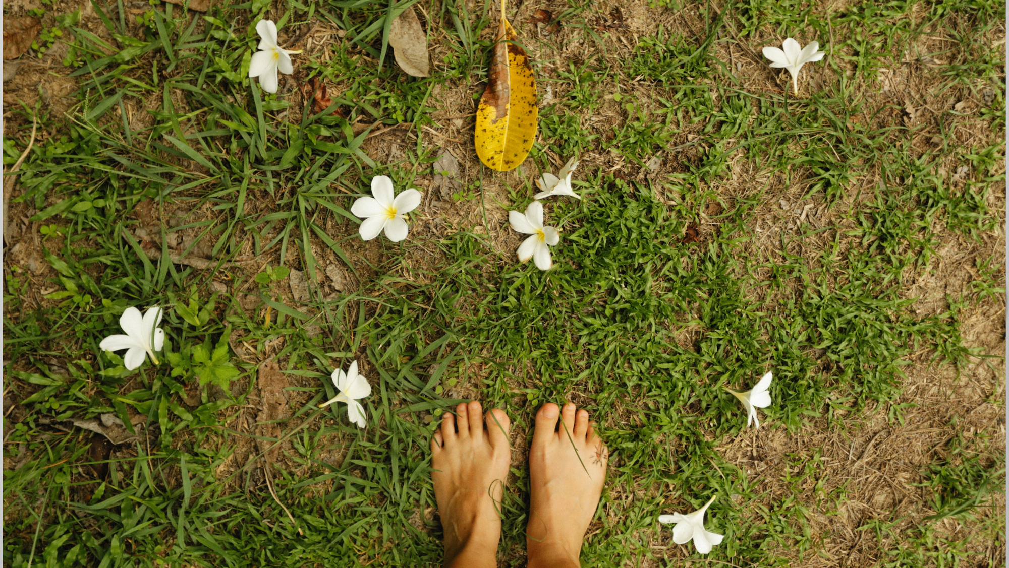 Four Facts Friday: Detoxing The Lymphatic System