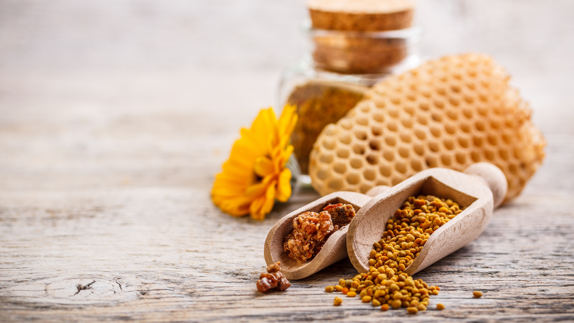 Why I Don’t Use Cocoa Butter In Our Remedies