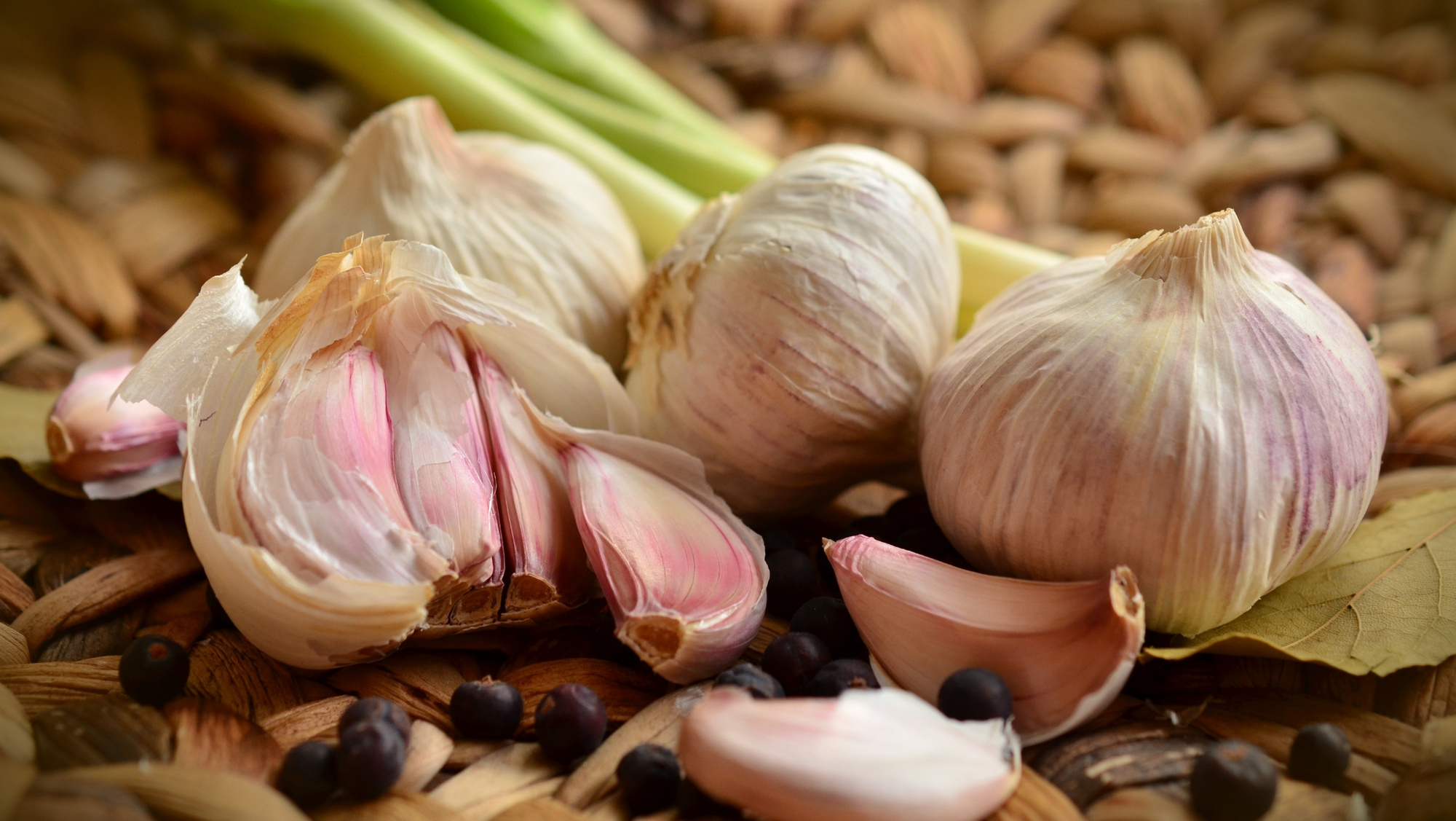 Garlic Elixir for Introverts